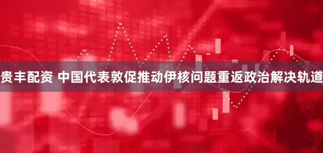贵丰配资 中国代表敦促推动伊核问题重返政治解决轨道